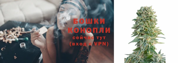 spice Армянск