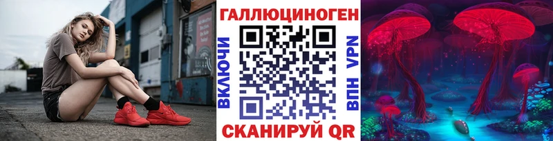 darknet клад  Спасск  Псилоцибиновые грибы Psilocybe  закладки 